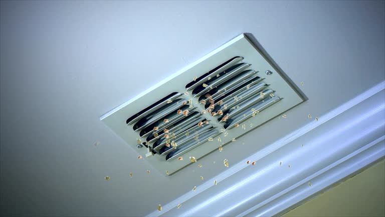 Best Professional Duct Cleaning Services  in Malta, IL
