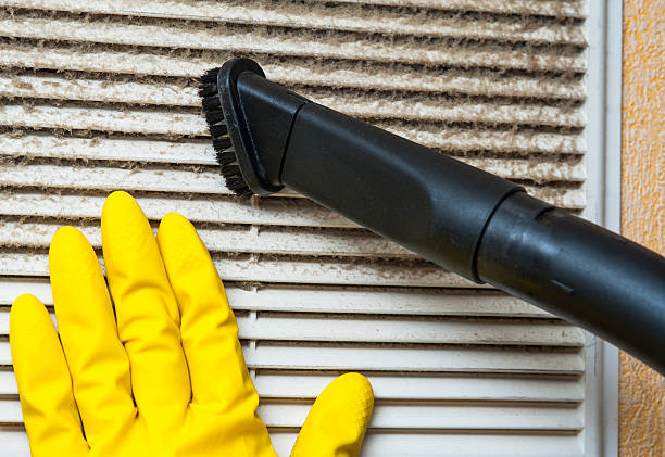 Best Affordable Duct Cleaning Services  in Malta, IL